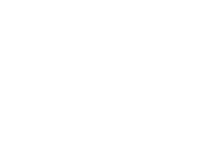Wedding nightmare : Deuxième partie