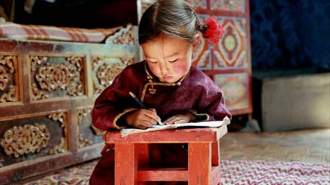 LE CHIEN JAUNE DE MONGOLIE