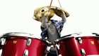 HOP