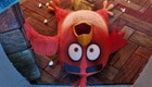 ANGRY BIRDS : COPAINS COMME COCHONS