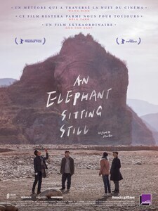 AN ELEPHANT SITTING STILL