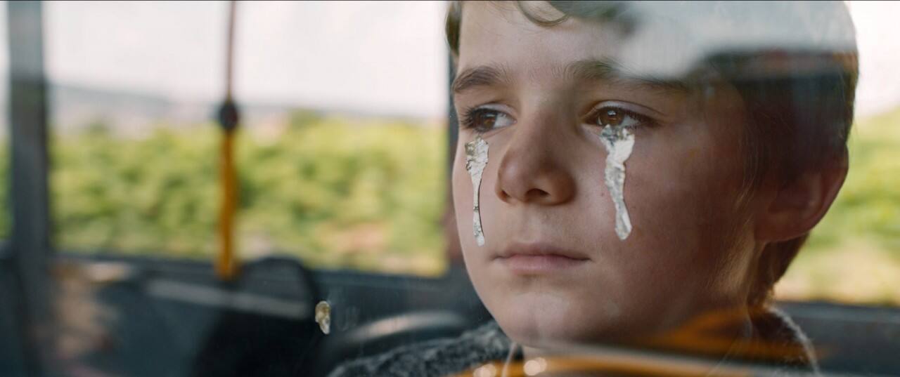 OSKAR ET LILY (2020) Film et séances Cinémas Pathé