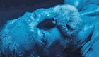 DON T BREATHE 2