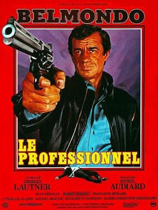 LE PROFESSIONNEL