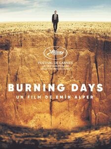 Burning days