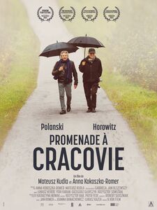 Promenade à Cracovie