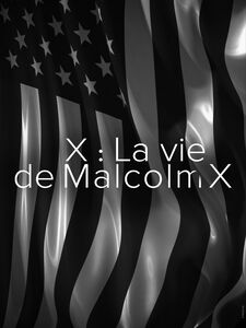 X : La vie de Malcolm X (Metropolitan Opera)