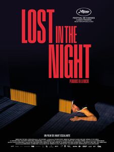 Lost in the Night