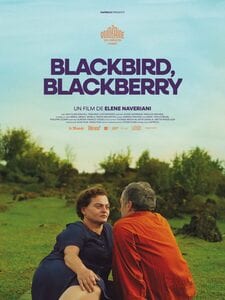 Blackbird, Blackberry