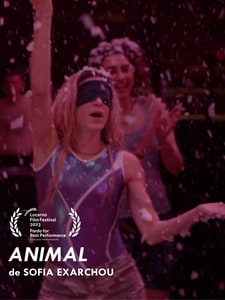 Animal