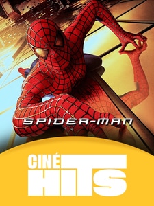 La séance Ciné Hits : Spider-man