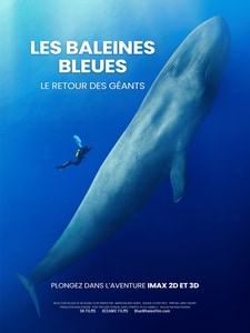 Les Baleines Bleues : Le retour des Géants