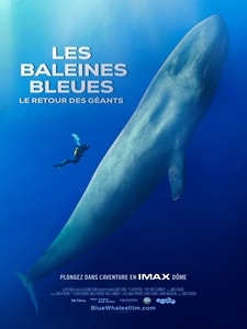 Les Baleines Bleues : Le retour des Géants