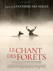 Le chant des forêts