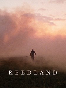 Reedland