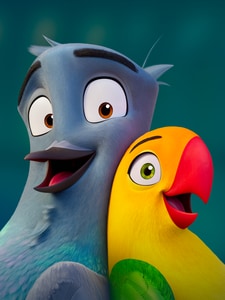 Lovebirds