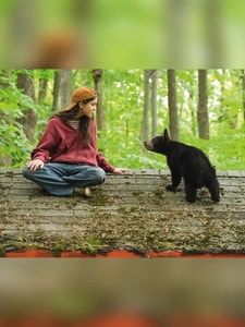 Melody pour un ours