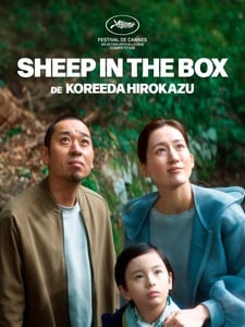 Sheep in the box