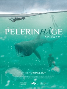 Pelerinhâge en ecosse