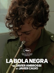 La bola negra