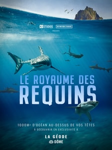 Le Royaume des Requins