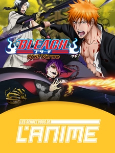 Les Rendez-vous de l'Anime : Bleach - Hell Verse