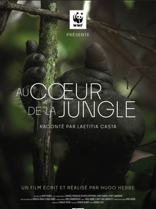 Au cœur de la jungle