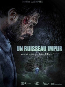 Un ruisseau impur