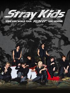 Stray Kids World Tour <RUN IT> LIVE VIEWING