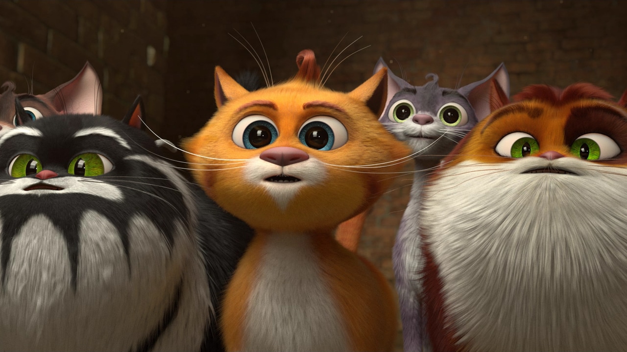 Les chats célèbres au cinéma : qui sont-ils ?