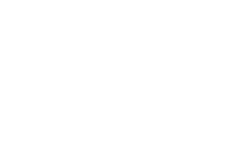 Vaiana 2