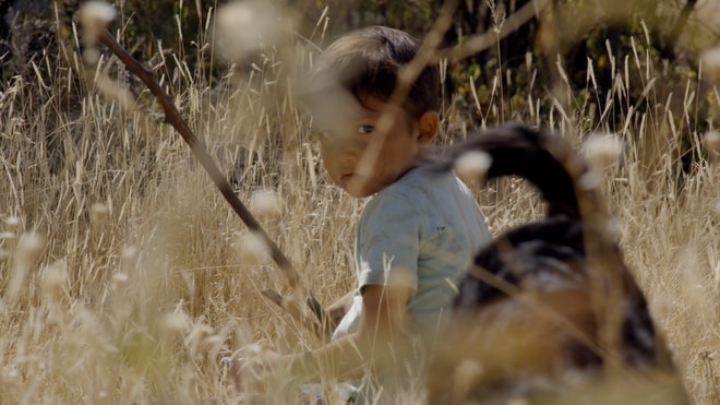 Hijo de Sicario