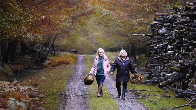 Quand vient l'automne