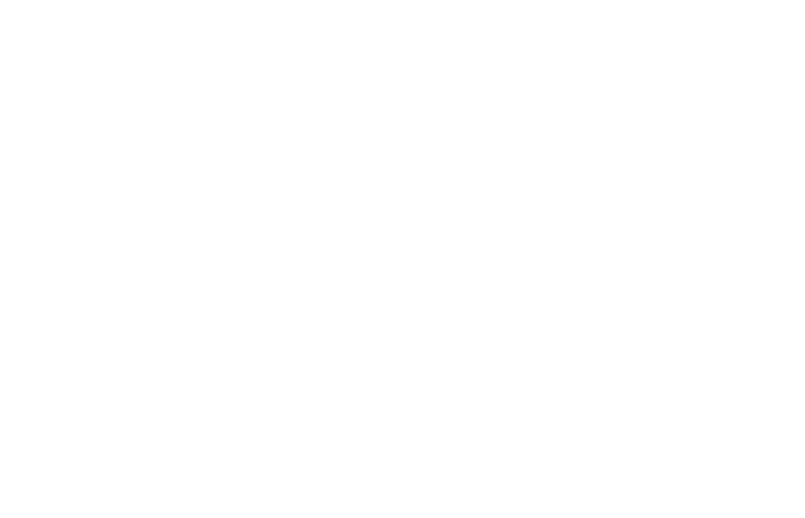 L’Ombre Du Commandant