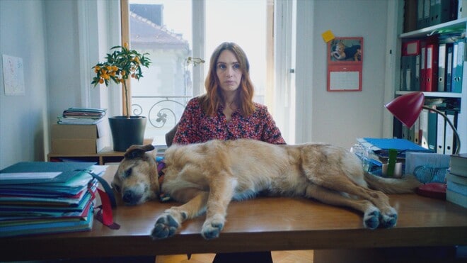 La séance Pathé x Cut : Le Procès du chien