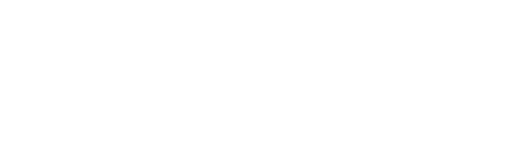 The Brutalist