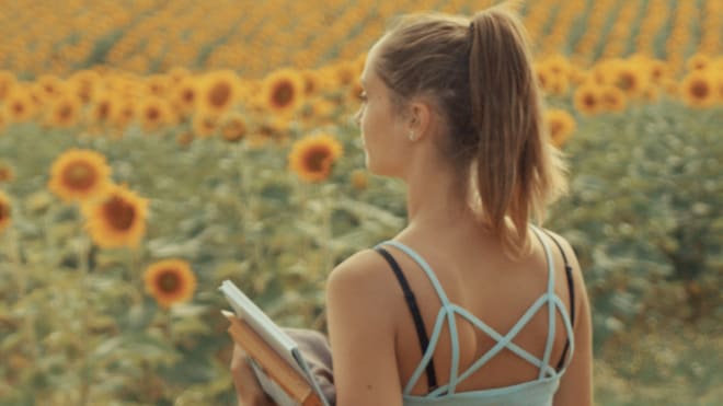 Se souvenir des tournesols