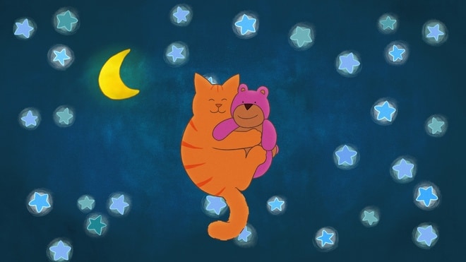 Tom le chat - À la recherche du doudou perdu