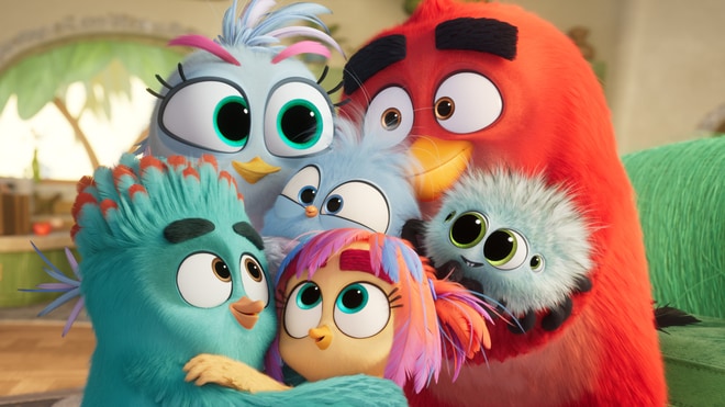 Angry Birds - La grande envolée
