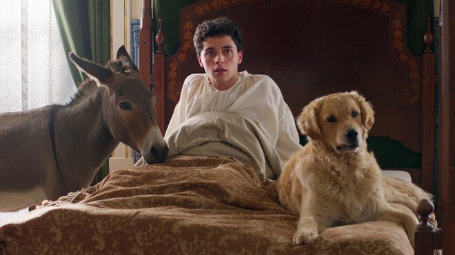 L'arbre de la connaissance