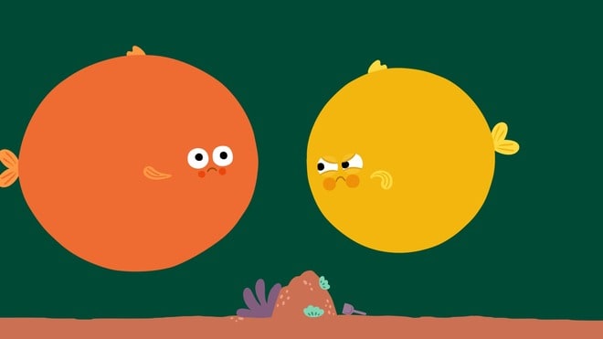 Ma mini-séance : Timioche