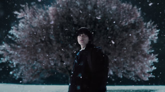 5 centimètres par seconde