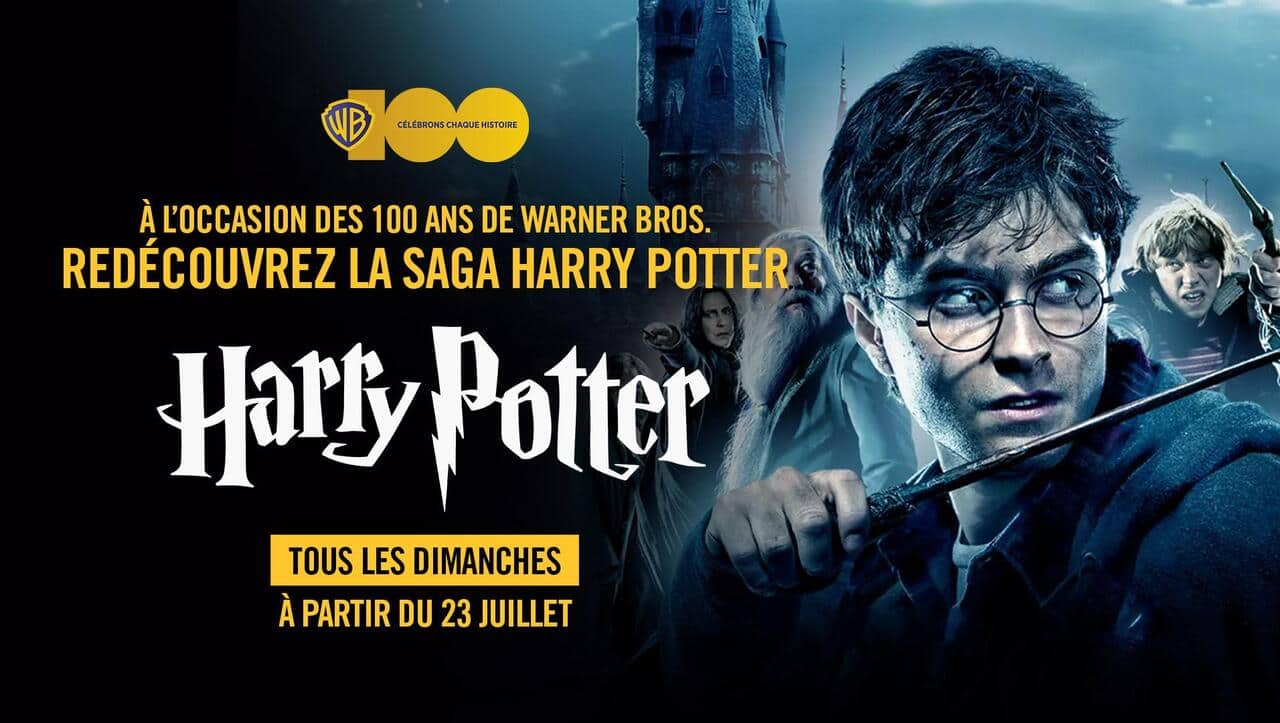 Harry Potter et la Chambre des secrets : une Française recrée la